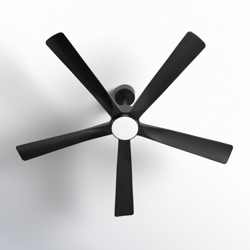 Ventilateur de plafond à DEL 5 pales Bascio, Noir, noir, noir, noir, H 20,5 po x l 60 po x P 60 po, Noir