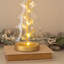 LED Lighted Window Décor