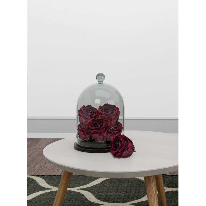 Faux rose, Bourgogne