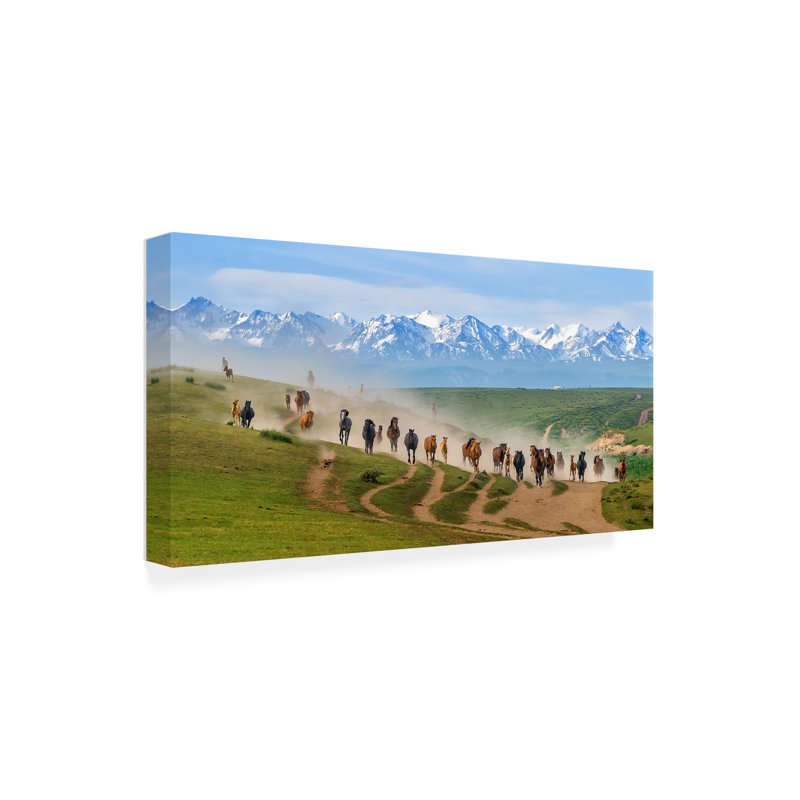 Art sur toile, Hua Zhu, H 24 po x l 47 po