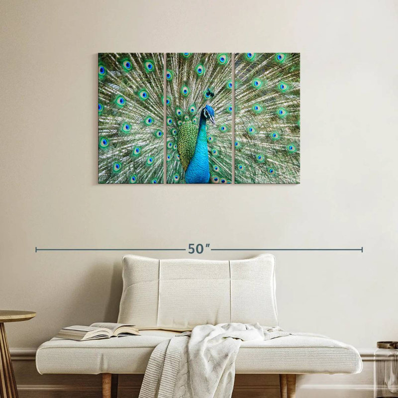 Brampt Peacock Displaying Tail, 24" H x 38" W