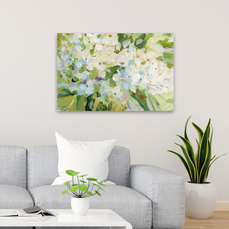 Hydrangea Joy, H 24 po x l 36 po