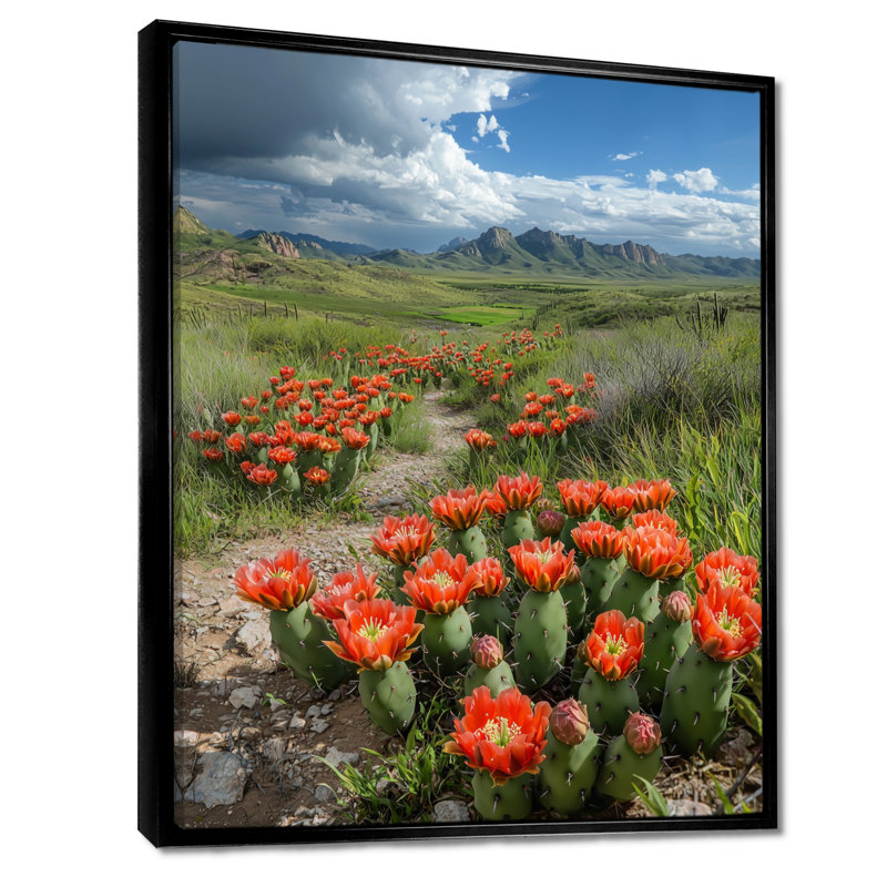 «Markas Blooming Cacti Desert At Sunset II - Cactus», reproduction sur toile encadrée, H 32 po x l 24 po, Noir