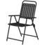 Dining Chair in Black