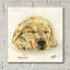  «Sleeping Pup» par Anika Goodhue, art mural en verre acrylique, 36 po x 36 po-1331452066