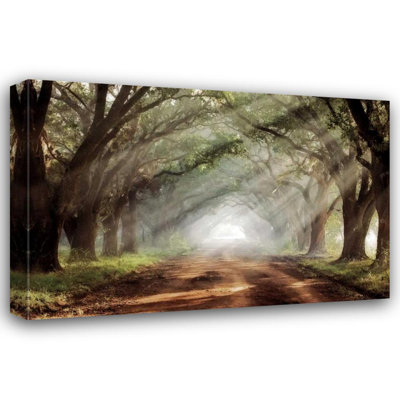 Millwood Pines Jones, Mike Gallery Wrapped Canvas Art Titled: Evergreen Plantation (29_JMP302)