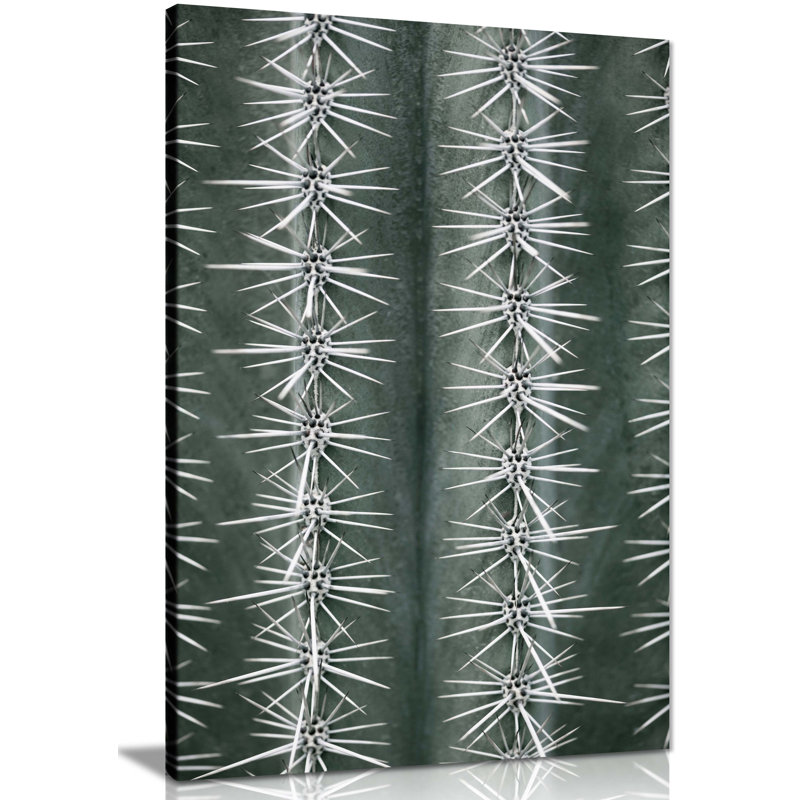 Cactus Close Up - Wrapped Canvas Print, 91cm H x 61cm W