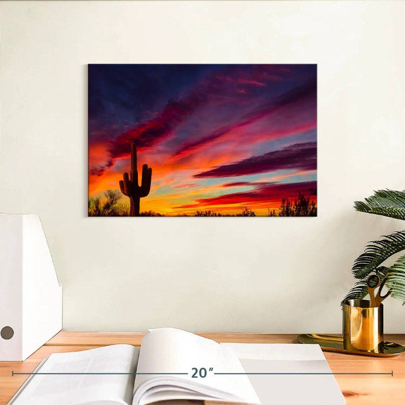 Cactus Alvord Saguaro, H 8 po x l 12 po