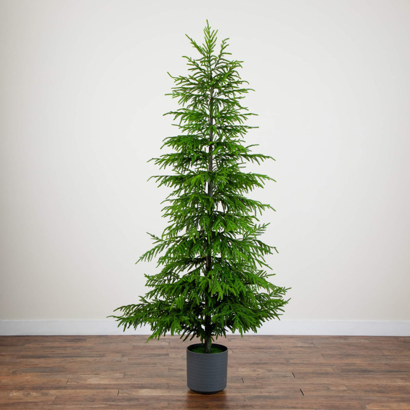 Arbre de Noël Real Touch Norfolk Island, H 8 po x l 48 po x P 11 po