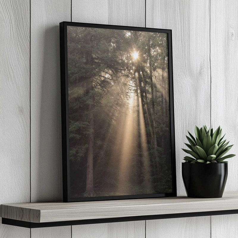 «Enlighten Your Soul» par Lori Deiter, reproduction d'art, 20 W x 30 H, White, Framed Print