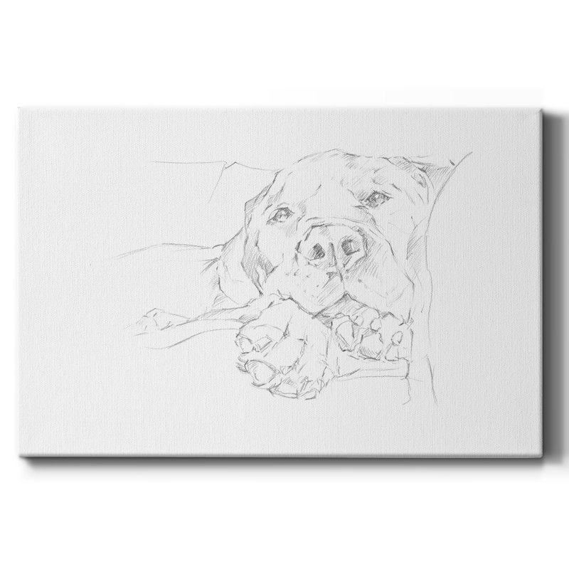 Toile tendue Lazy Dog I-Gallery, H 18 po x l 27 po