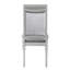 Ensemble de 2 chaises d'appoint rembourrées Platinum