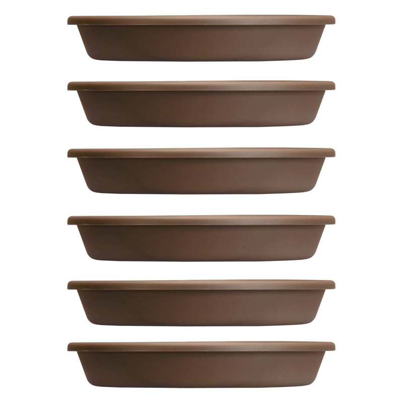 Jarim Saucer Plant Stand, 6