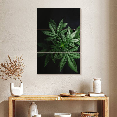 Feuilles de marihuana
