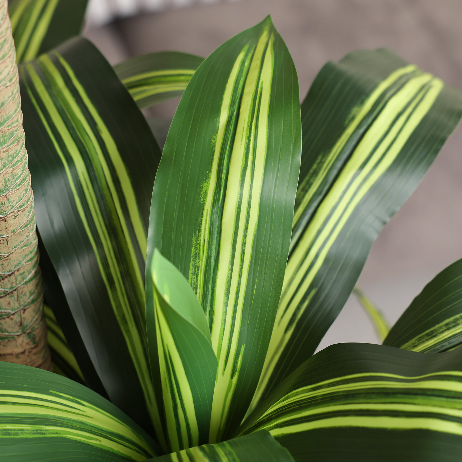 Romney Dracaena Tree in Planter, 72" H x 26" W