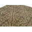 Wool Oriental Area Rug in Brown/Rust