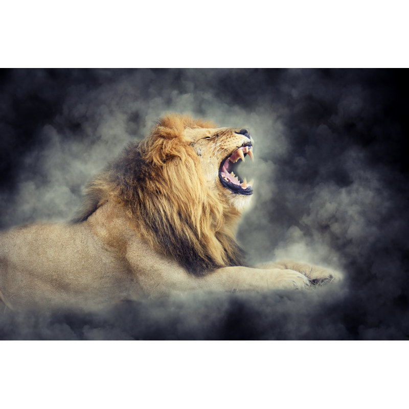 Lion In Smoke On Dark Background - Wrapped Canvas Print, 30cm H x 46cm W x 3.8cm D