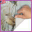 Birds On Grass Stems Bath Mat-399552771