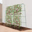 Treillis de jardin pour les plantes grimpantes