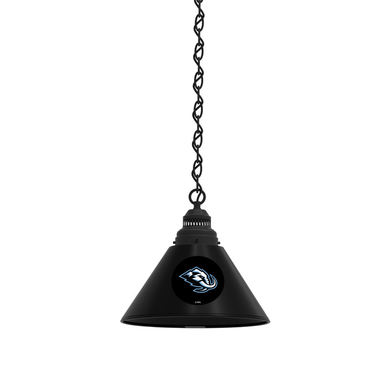 Luminaire suspendu conique 1 lumière NHL, Noir, Arizona Coyotes