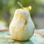 Sculpture en onyx naturel Teillon