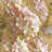 " Gilded Hydrangea I " by All That Glitters-22231046-74409263-74409264
