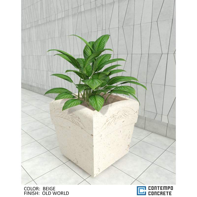 Jardinière Nola, Beige Ancien Monde