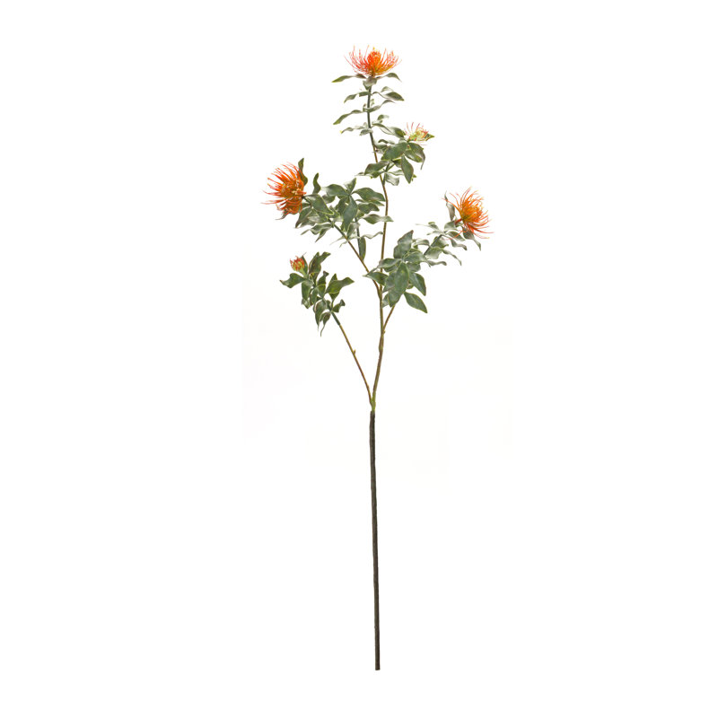 Protea Sprays, Orange