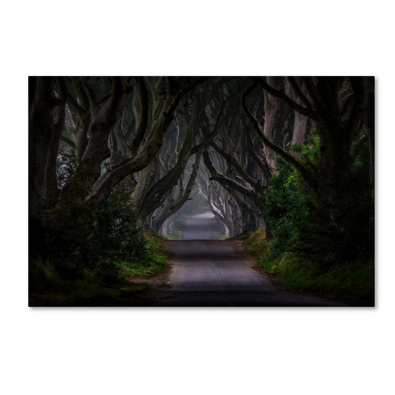 « magic road », reproduction de photo sur toile tendue, H 12 po x l 19 po