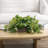 Artificial Fake Grape Vine Plants In Planter