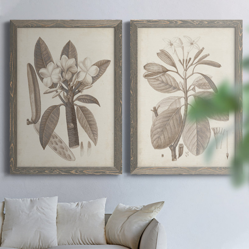 Antique sépia botanics VIIP, toile encadrée de qualité supérieure - prête à être accrochée, H 43,5 po x l 31,5 po x P 1 po