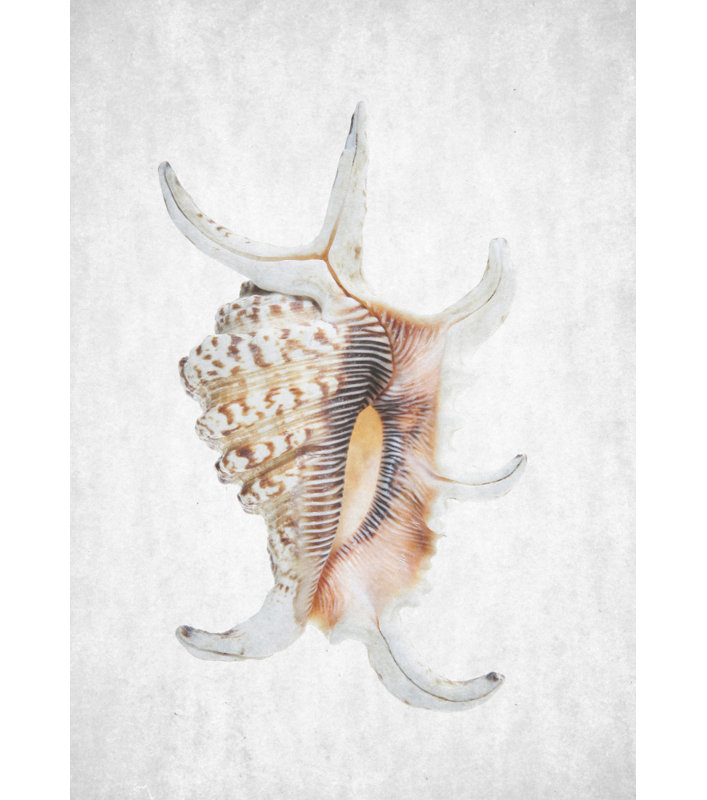 Wrapped Canvas Print, 60.96 cm H x 91.44 cm W