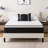 Wayfair Sleep 10" Plush Pillow Top Hybrid Mattress-66575515