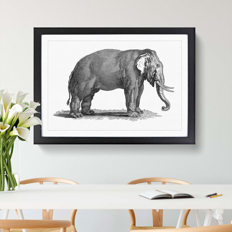 Elephant in Black & White by George Shaw - Picture Frame Drawing Print, Black Framed, 36cm H x 48cm W x 2cm D