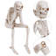 3Pack Statues d'Halloween See Speak Hear No Evil Squelon Figurines