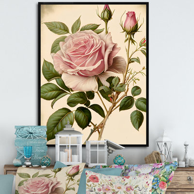 " Pink Rose On Retro Parchment IV "