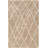 Striped Indoor Rug-1026922316