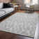 Premium Machine Washable Cerrito Silver Rug