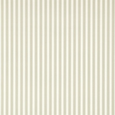 New Tiger Stripe Wallpaper