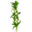Plastic, Silk Artificial Arrangement
