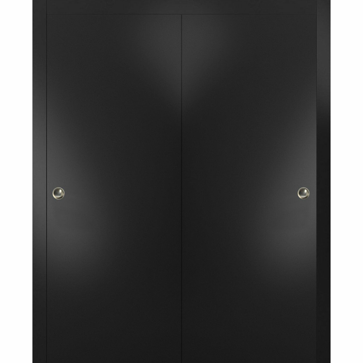 SARTODOORS Planum Flush Sliding Closet Black Doors | Wayfair