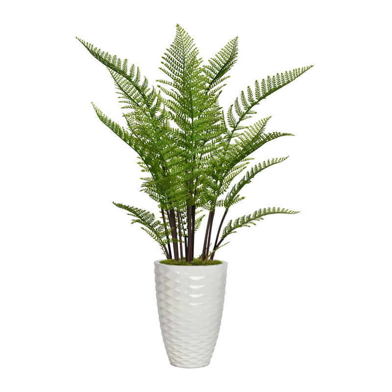 Fougère artificielle 52,9 "en pot
