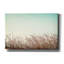 «Retro Grass» par PhotoINC Studio-2144276836