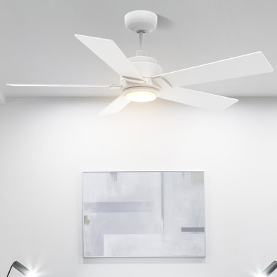 52'' Ceiling Fan with LED Lights