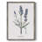 Lavender Framed Print - Solid Wood-1970716254