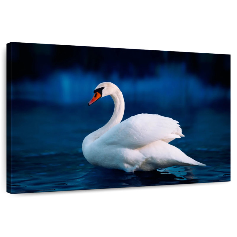 Brampt Pure White Swan, 20" H x 30" W