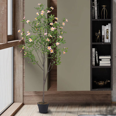 165cm Plant