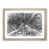 Oak Framed selected