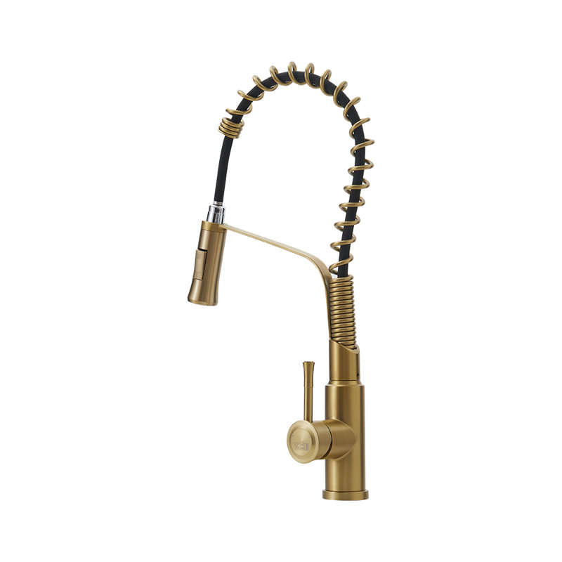 Belfry Kitchen Kitchen Faucet, Gold/Black