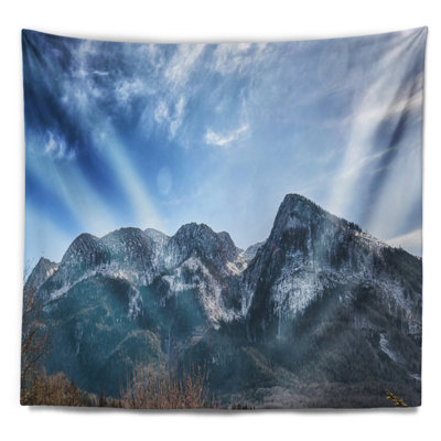 Polyester Tapestry